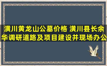 潢川黄龙山公墓价格 潢川县长余华调研道路及项目建设并现场办公